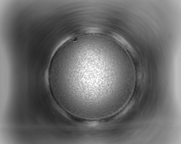X0000098100798200804111021