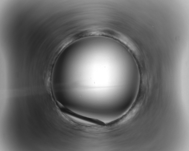 X0000098100801200804111021