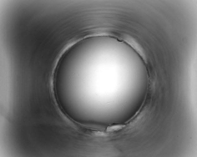 X0000098100805200804111021