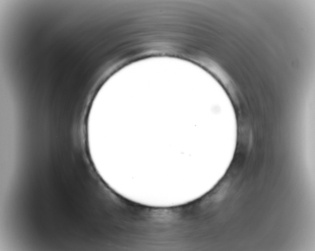 X0000098100807200804111021