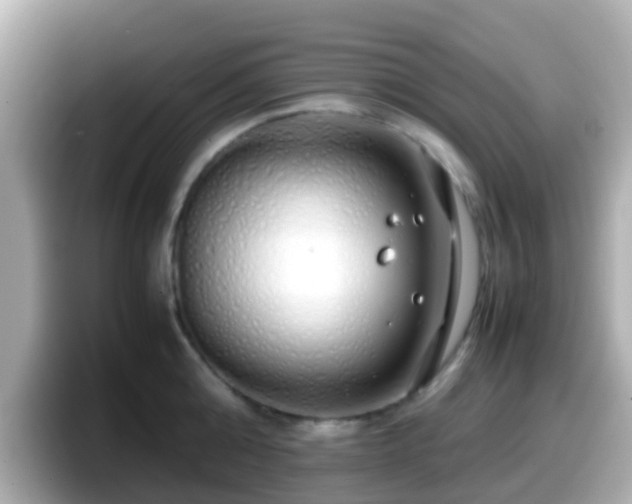 X0000098100808200804111021