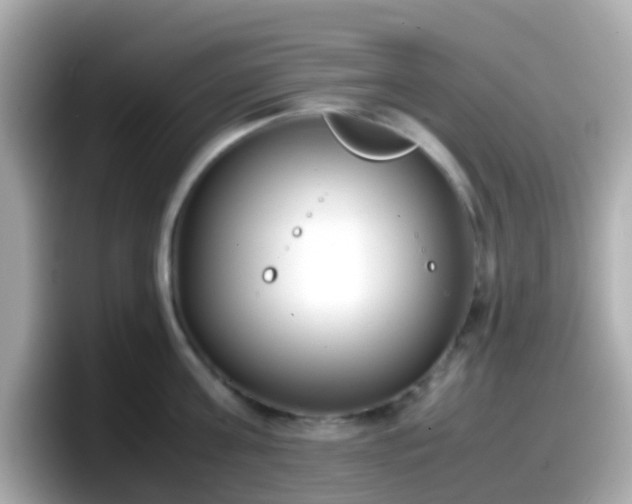 X0000098100811200804111021