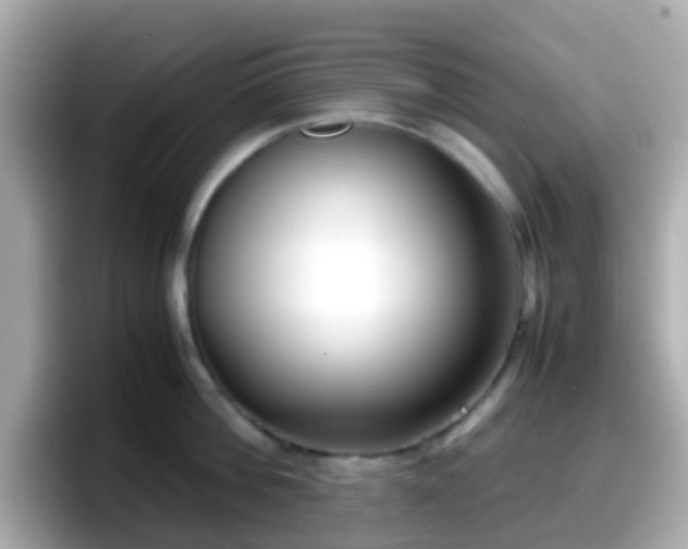 X0000098100812200804111021