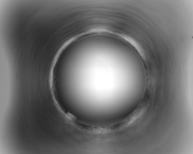 X0000098100815200804111021