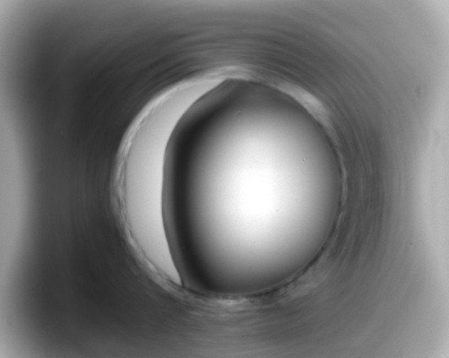 X0000098100816200804111021