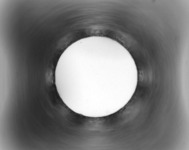 X0000098100820200804111021