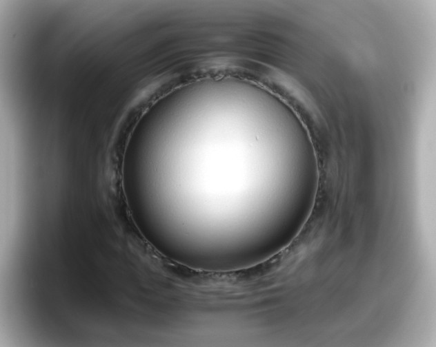 X0000098100823200804111021