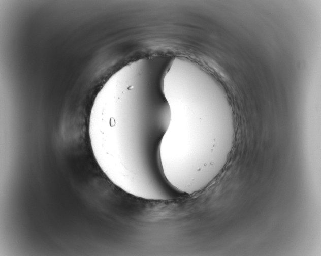 X0000098100824200804111021