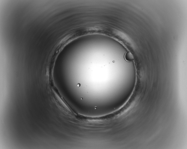X0000098100825200804111021