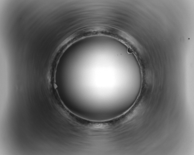 X0000098100826200804111021