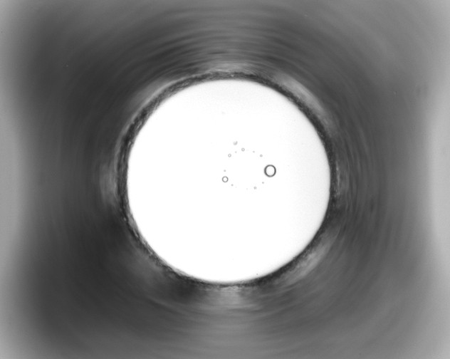 X0000098100828200804111021