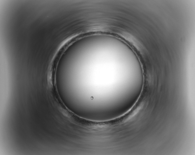 X0000098100830200804111021