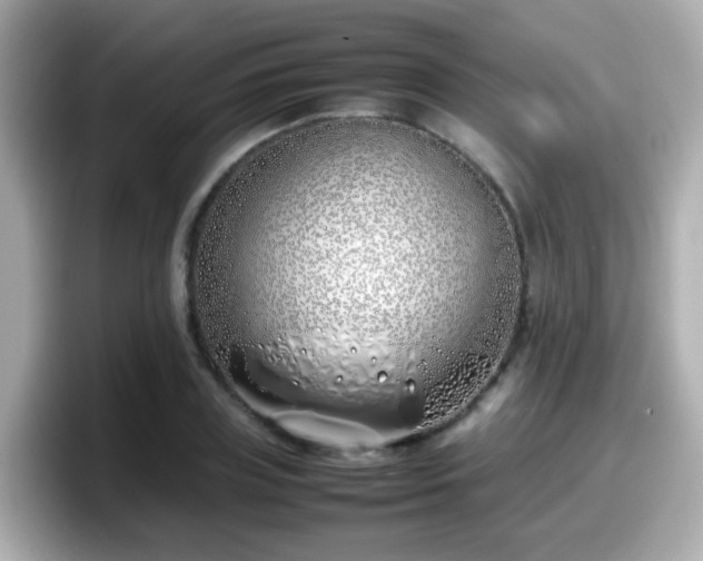 X0000098100835200804111021