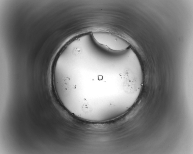 X0000098100836200804111021