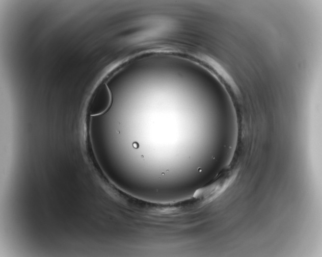 X0000098100837200804111021