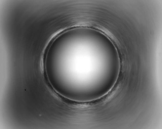 X0000098100838200804111021