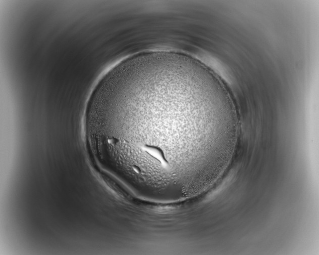 X0000098100839200804111021
