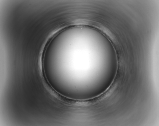 X0000098100840200804111021