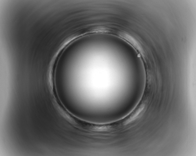 X0000098100843200804111021