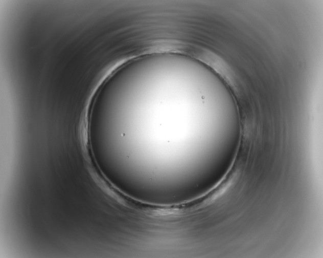 X0000098100844200804111021