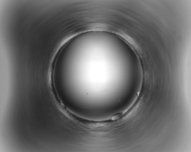 X0000098100846200804111021