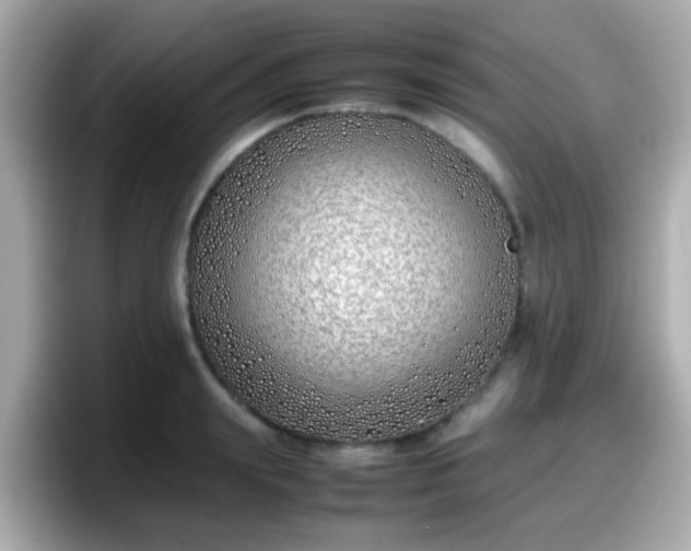 X0000098100847200804111021