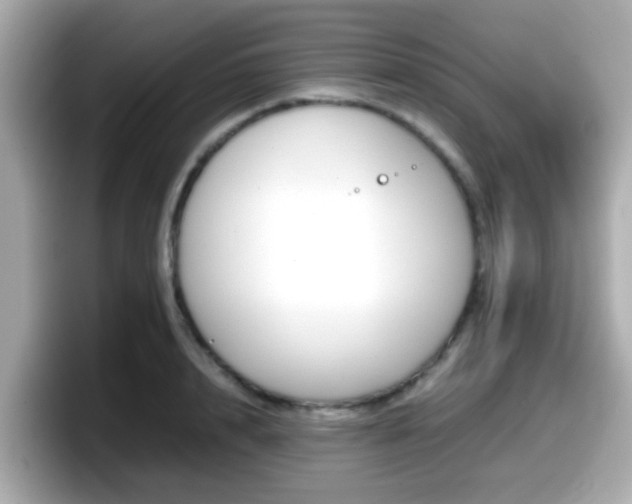 X0000098100848200804111021