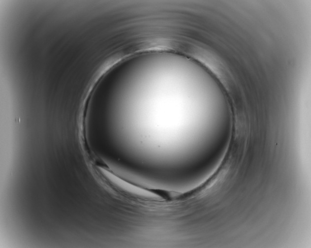 X0000098100850200804111021
