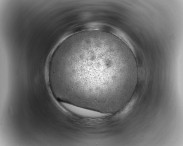 X0000098100851200804111021