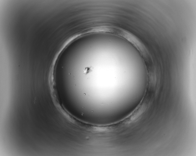 X0000098100852200804111021