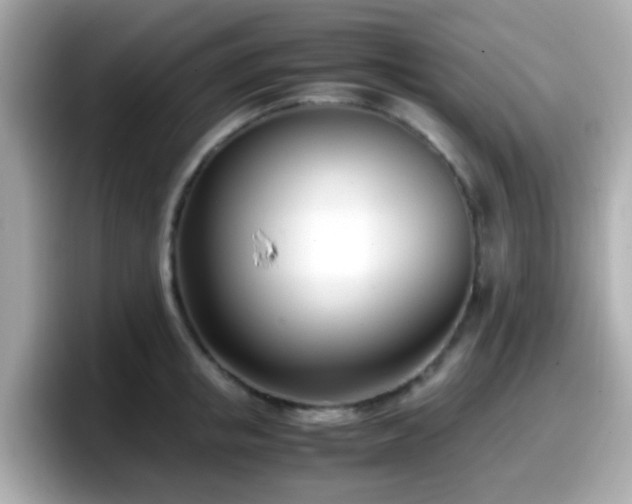 X0000098100853200804111021