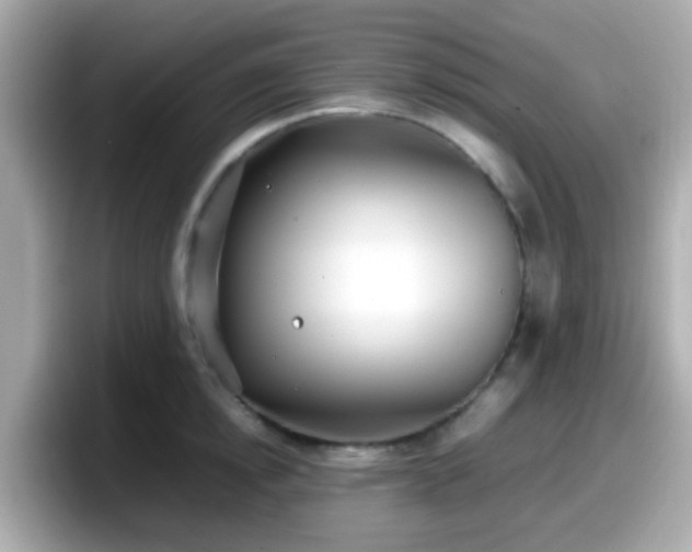 X0000098100854200804111021