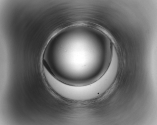 X0000098100858200804111021