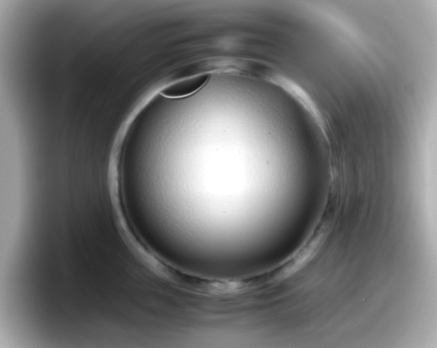 X0000098100859200804111021
