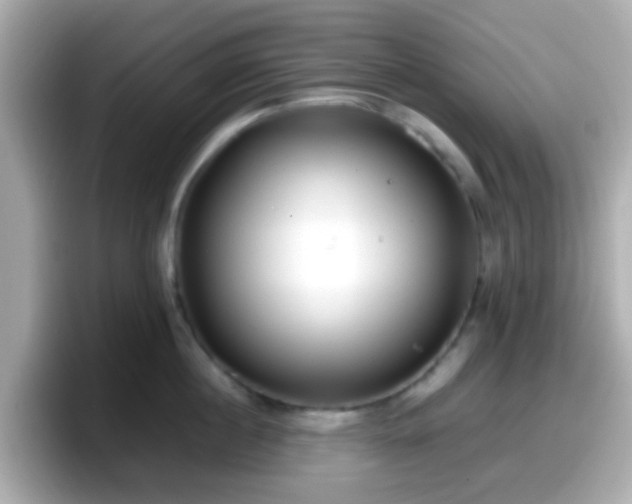 X0000098100860200804111021