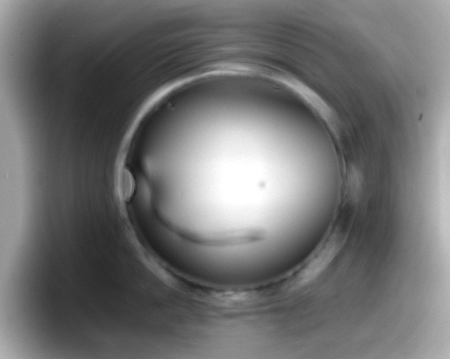 X0000098100862200804111021