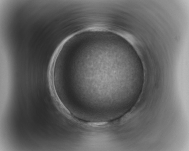 X0000098100864200804111021