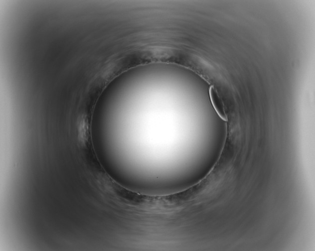 X0000098100866200804111021