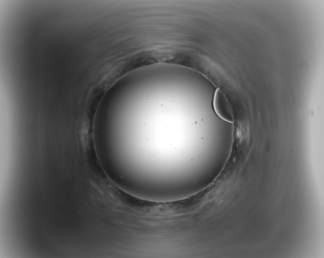 X0000098100867200804111021