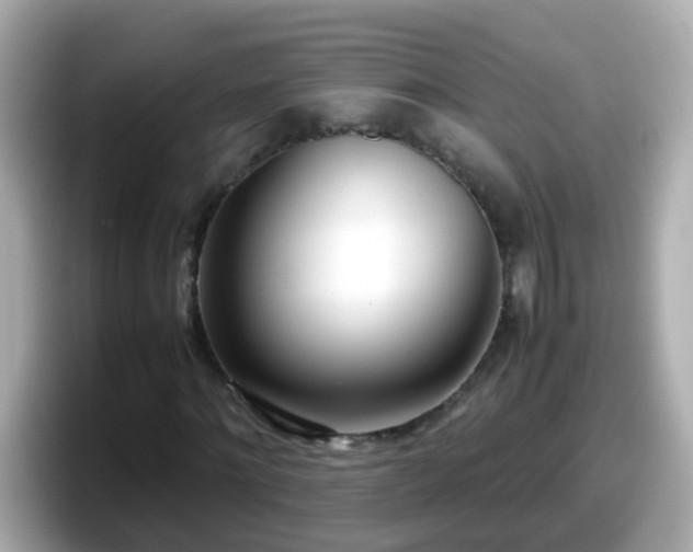 X0000098100868200804111021