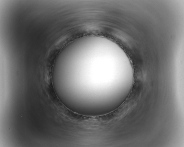 X0000098100869200804111021