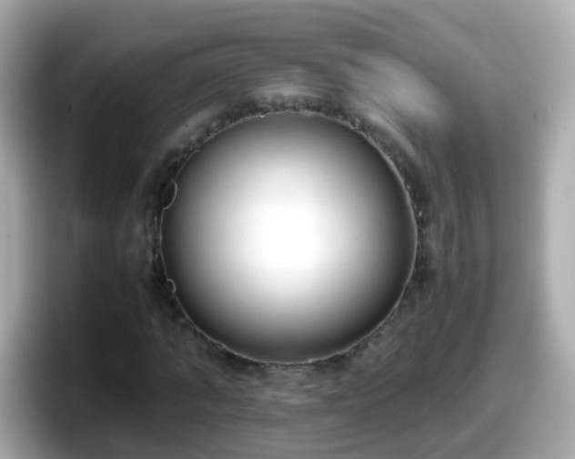 X0000098100870200804111021