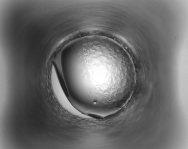 X0000098100871200804111021