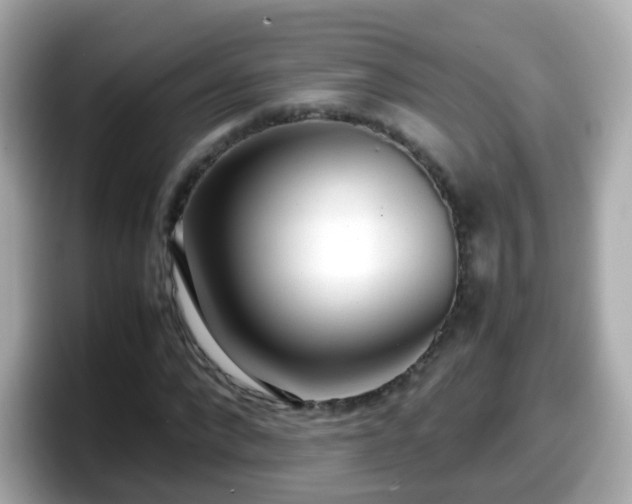 X0000098100872200804111021