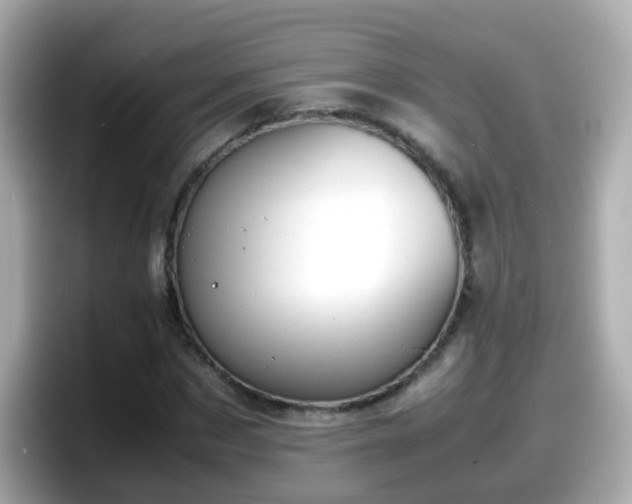 X0000098100873200804111021