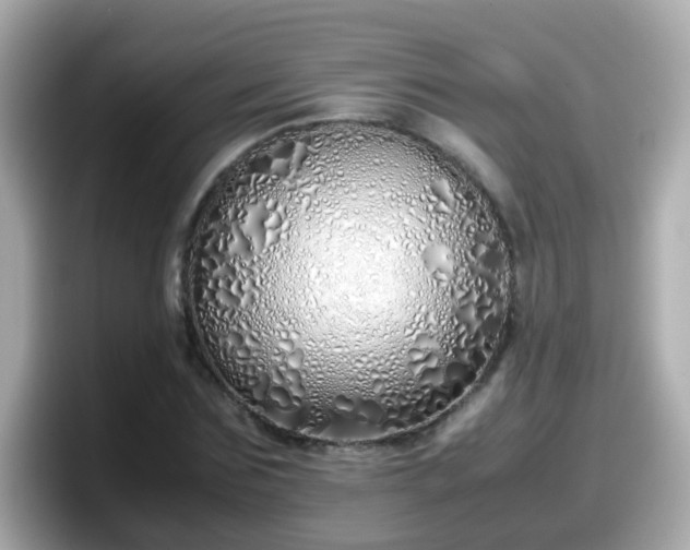 X0000098100875200804111020