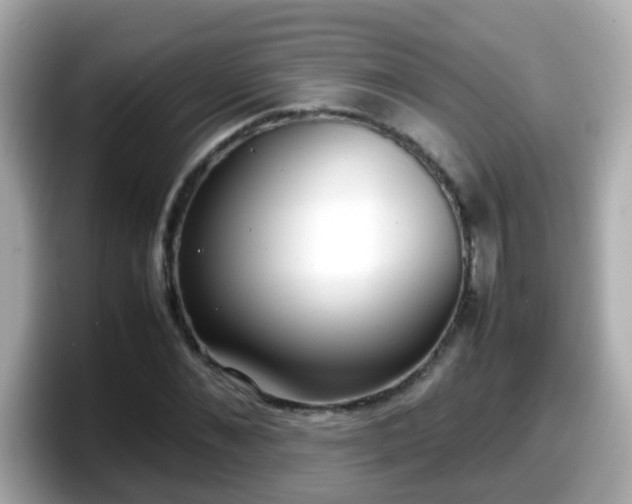 X0000098100876200804111020