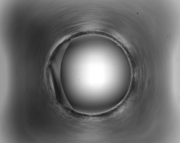 X0000098100877200804111020