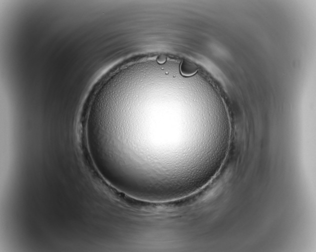 X0000098100879200804111020