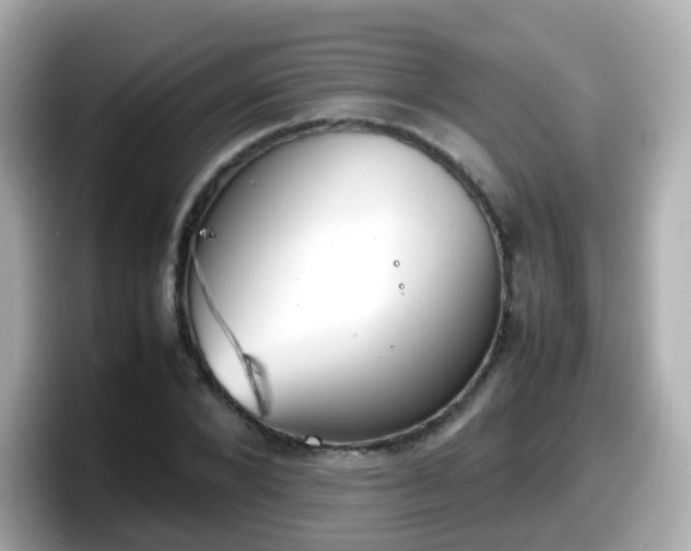 X0000098100880200804111020